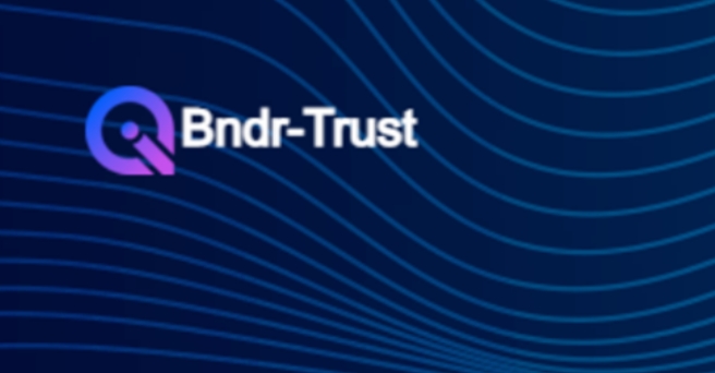 BNDR-Trust обзор