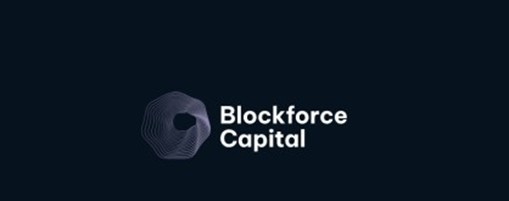 Blockforce Capital скам-проект