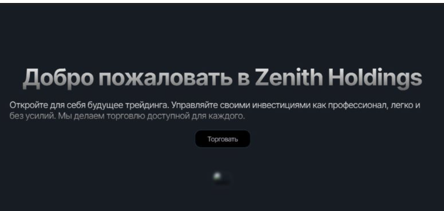 ZenithHoldings обзор