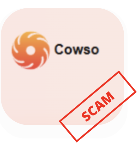 Cowso логотип
