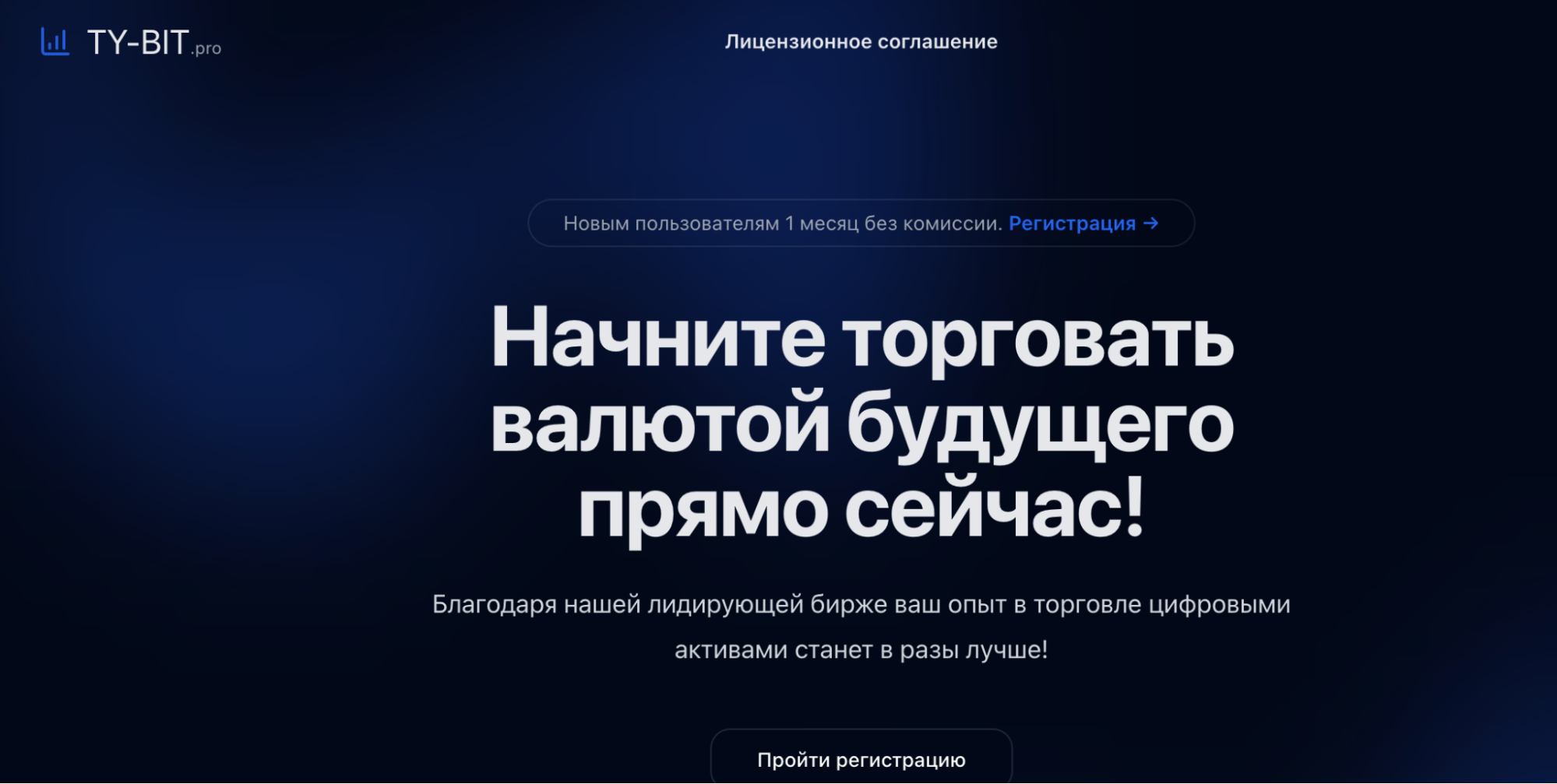 Ty-Bit Pro главная страница