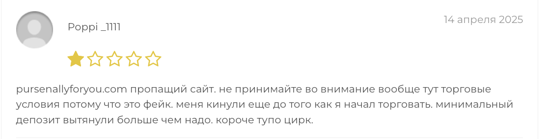 Pursenallyforyou комментарии
