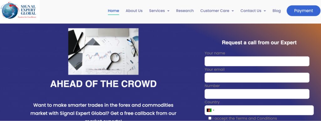 обзор Signal Expert Global