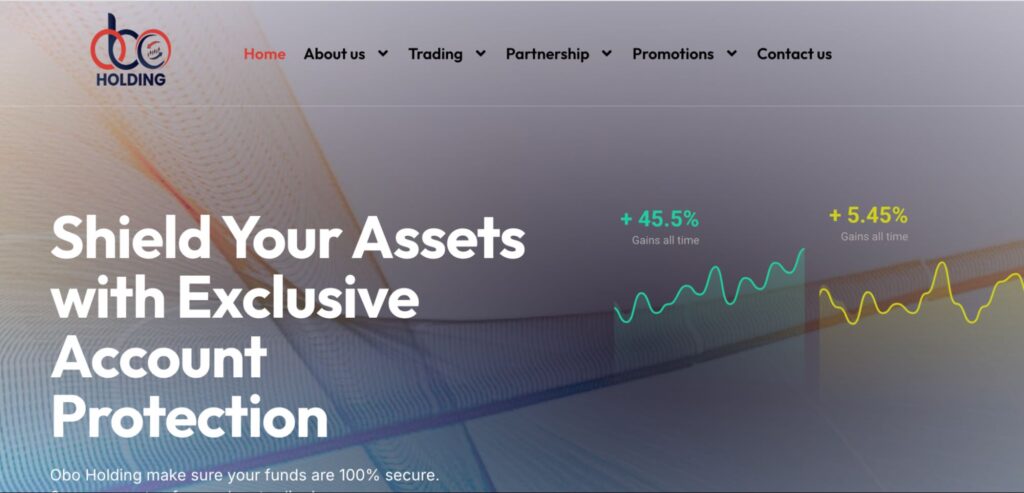 обзор OBO Holding Ltd