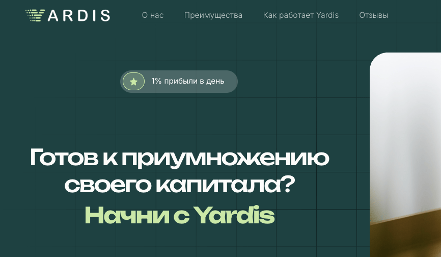 обзор на Yardis