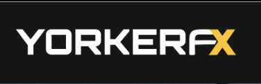 Yorker Capital Markets — обзор и проверка брокера, отзывы клиентов : https://finotz.com