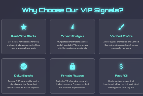 обзор на VIP Crypto