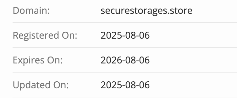 Securestorages домен