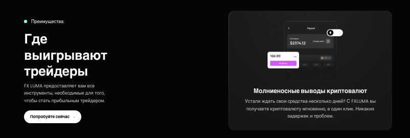 информация о FX LUMA LTD