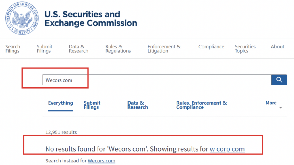 что известно о Wecors