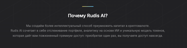 инфо о Rudis AI