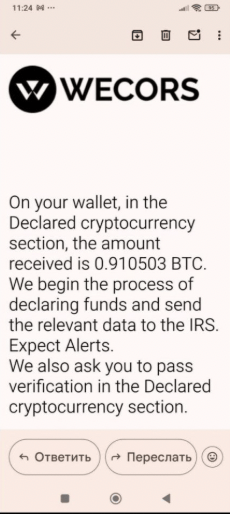 информация про Wecors