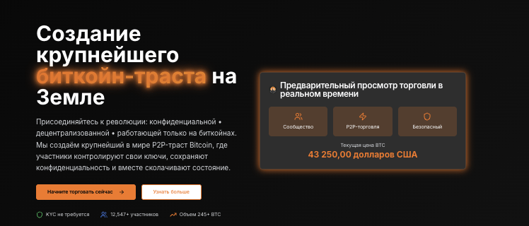 обзор на BiTcoin City Project
