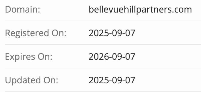 Bellevue Hill Capital домен
