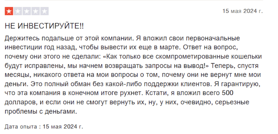 Daisy Global настоящий отзыв