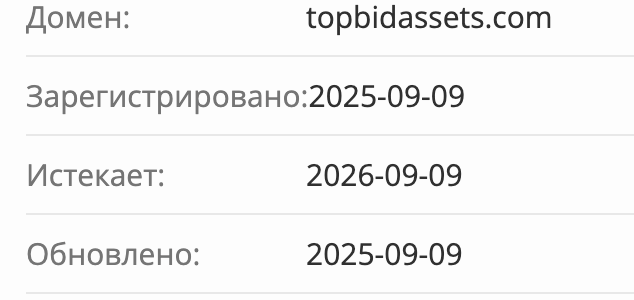 Top Bid Assets домен