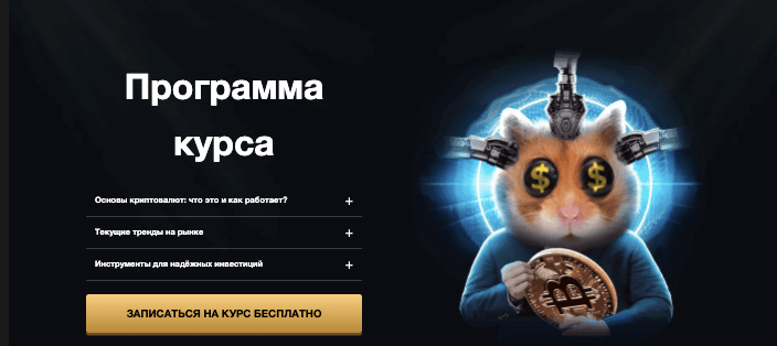 информация о CryptoSchool