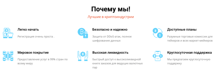 проверка WealthPipsPro
