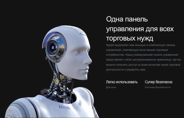 проверка Spybit