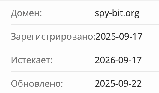 Spybit домен