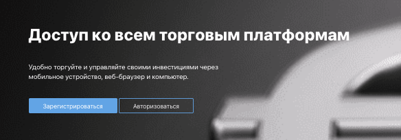 обзор Top Bid Assets