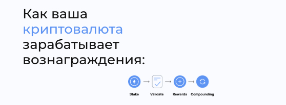 информация о StakeSwiss