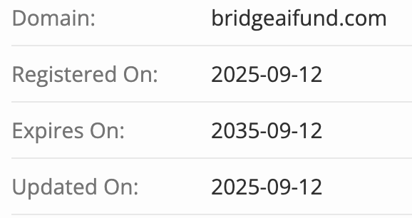 домен Bridge AI Fund