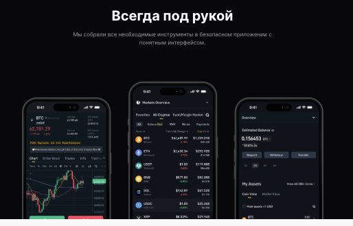 информация о DirexBit