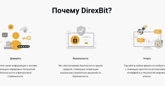 проверка DirexBit
