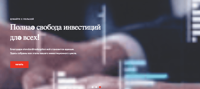 обзор на StandardTradeOption