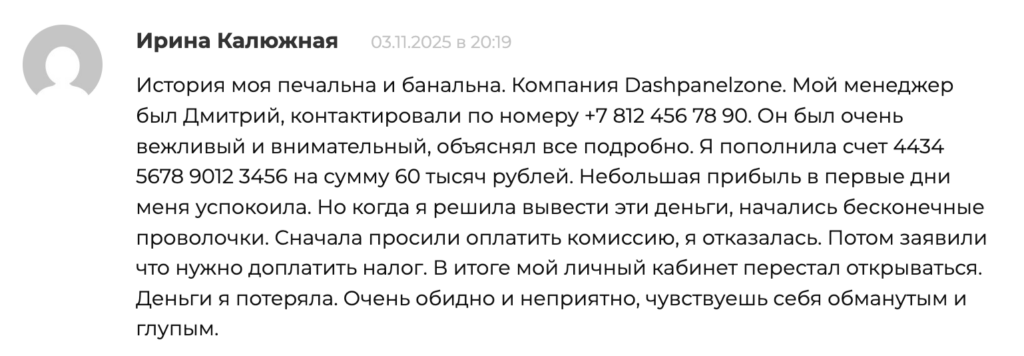 Dashpanel Zone отзыв